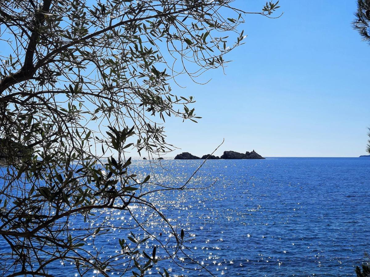 Blue Promenade Apartments Dubrovnik Ngoại thất bức ảnh