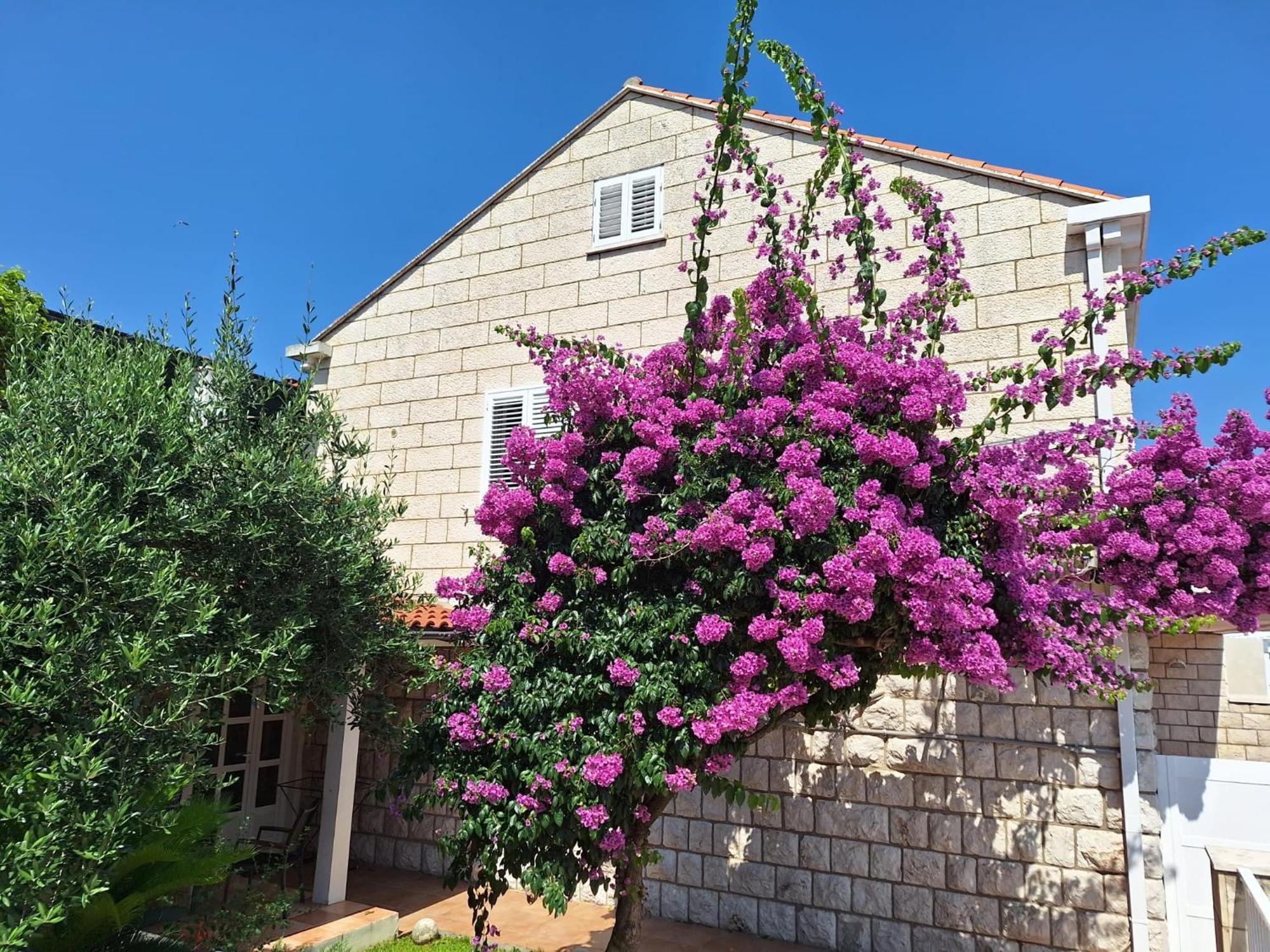 Blue Promenade Apartments Dubrovnik Ngoại thất bức ảnh